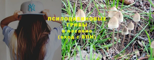 прущая мука Лагань