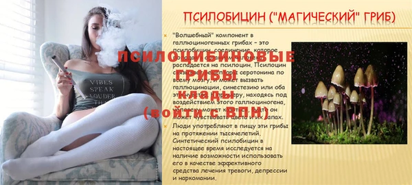 прущая мука Лагань