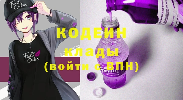 гашик Лабытнанги