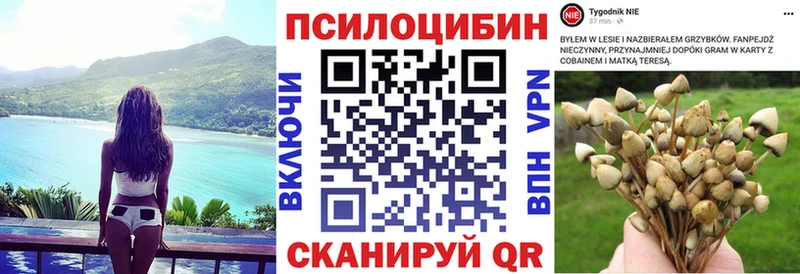 Галлюциногенные грибы прущие грибы  кракен ссылки  Малая Вишера 