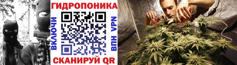 Бошки марихуана марихуана Малая Вишера